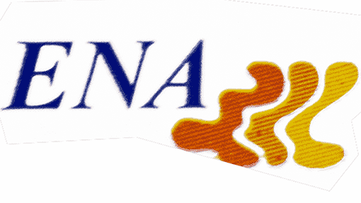 Ena LOGO
